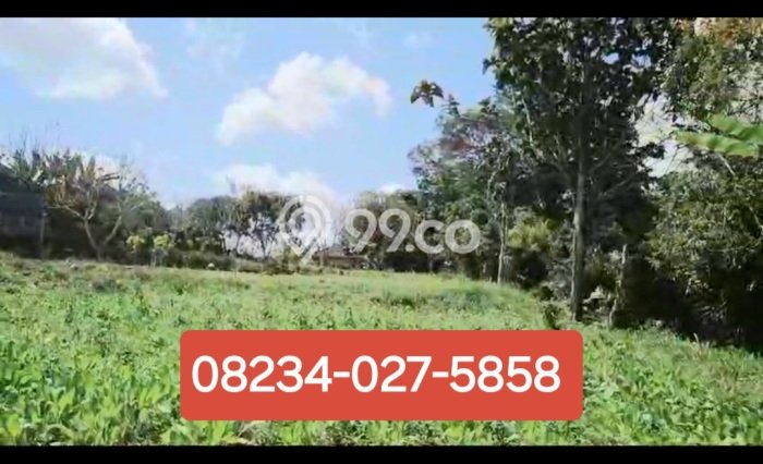 Untuk Dijual Tanah di Baturiti Tabanan Luas 23475m2 SHM Untuk Dijual Tanah di Baturiti Tabanan Luas 23475m2 SHM