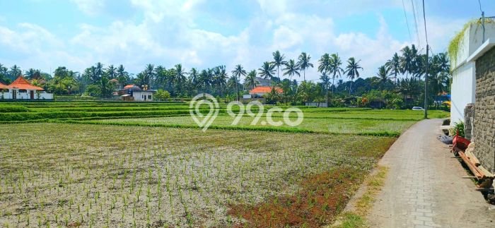Disewakan segera rumah minimalis strategis 2 Kamar di Ubud, Gianyar Disewakan segera rumah minimalis strategis 2 Kamar di Ubud, Gianyar