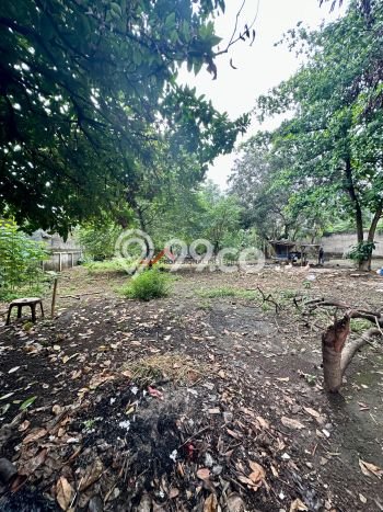 Kavling Tanah di Pondok Labu Dijual Luas 2490m2 Legalitas SHM Kavling Tanah di Pondok Labu Dijual Luas 2490m2 Legalitas SHM