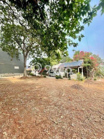 Dijual Rumah Premium dengan Fasilitas Sekitar Komplit di Cilandak, Jakarta Selatan Dijual Rumah Premium dengan Fasilitas Sekitar Komplit di Cilandak, Jakarta Selatan