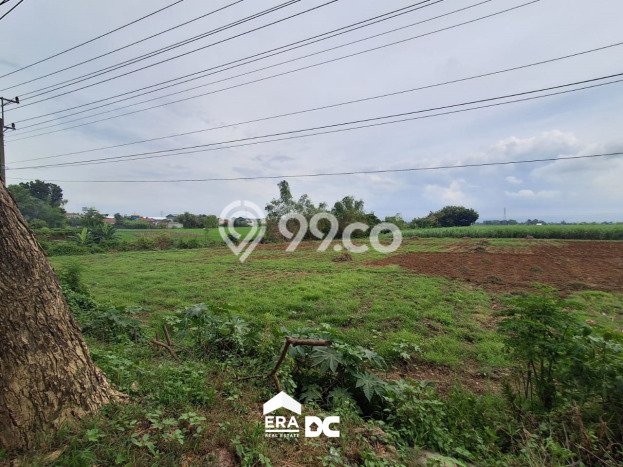 Jual Tanah Area Berkembang Kawasan Margorejo, Luas 12850m², Akses Margorejo, Pati, Pati Jual Tanah Area Berkembang Kawasan Margorejo, Luas 12850m², Akses Margorejo, Pati, Pati