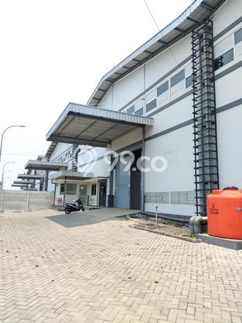 Tersedia Gudang Bisnis di Tugu Semarang Harga Sewa Menarik Bisa Nego Tersedia Gudang Bisnis di Tugu Semarang Harga Sewa Menarik Bisa Nego