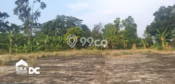 Tanah Dijual Lokasi Strategis di Batang dengan Luas 26070m2 Tanah Dijual Lokasi Strategis di Batang dengan Luas 26070m2