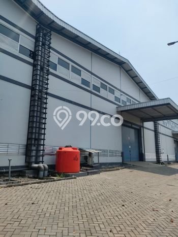 Tersedia Gudang Bisnis di Tugu Semarang Harga Sewa Menarik Bisa Nego Tersedia Gudang Bisnis di Tugu Semarang Harga Sewa Menarik Bisa Nego