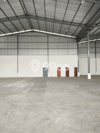 Tersedia Gudang Bisnis di Tugu Semarang Harga Sewa Menarik Bisa Nego Tersedia Gudang Bisnis di Tugu Semarang Harga Sewa Menarik Bisa Nego