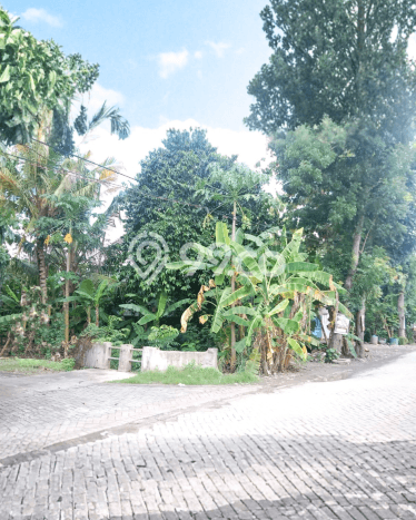 Kavling Tanah di Pedurungan Dijual Luas 567m2 Legalitas SHM Kavling Tanah di Pedurungan Dijual Luas 567m2 Legalitas SHM