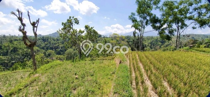 Jarang Ada! Tanah di Ubud Punya Luas 50100m2 SHM Jarang Ada! Tanah di Ubud Punya Luas 50100m2 SHM
