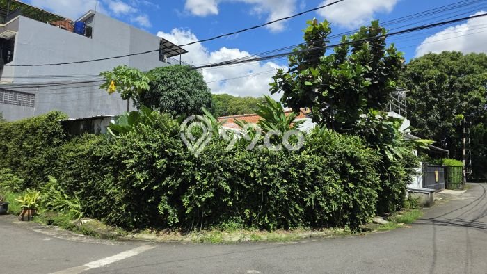 Dijual Rumah Premium dengan Fasilitas Sekitar Lengkap di Pancoran, Jakarta Selatan Dijual Rumah Premium dengan Fasilitas Sekitar Lengkap di Pancoran, Jakarta Selatan