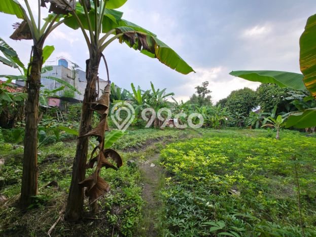 Tanah Strategis Disewakan di Serpong Tangerang Selatan Seluas 2405m2 Tanah Strategis Disewakan di Serpong Tangerang Selatan Seluas 2405m2