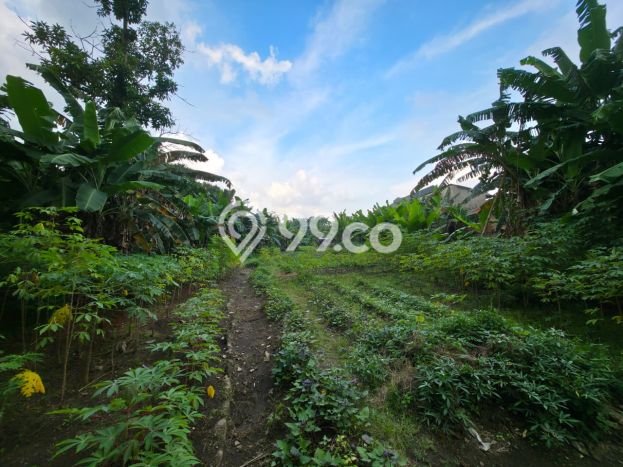 Tanah Strategis Disewakan di Serpong Tangerang Selatan Seluas 2405m2 Tanah Strategis Disewakan di Serpong Tangerang Selatan Seluas 2405m2