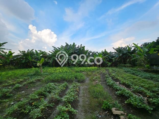 Tanah Strategis Disewakan di Serpong Tangerang Selatan Seluas 2405m2 Tanah Strategis Disewakan di Serpong Tangerang Selatan Seluas 2405m2