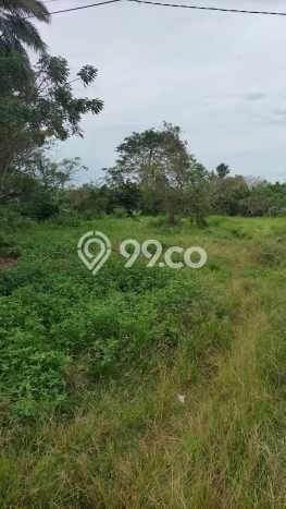 Kavling Tanah di Rajeg Dijual Luas 52000m2 Legalitas SHM Kavling Tanah di Rajeg Dijual Luas 52000m2 Legalitas SHM