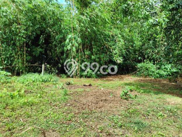 Untuk Dijual Tanah 1866m2 di Ciater, Tangerang Untuk Dijual Tanah 1866m2 di Ciater, Tangerang