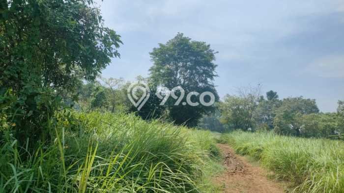 Kavling Tanah di Rajeg Dijual Luas 52000m2 Legalitas SHM Kavling Tanah di Rajeg Dijual Luas 52000m2 Legalitas SHM