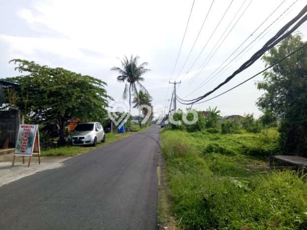 Dijual Tanah Lokasi Kedungu, Tabanan Seluas 6600m2 Dijual Tanah Lokasi Kedungu, Tabanan Seluas 6600m2