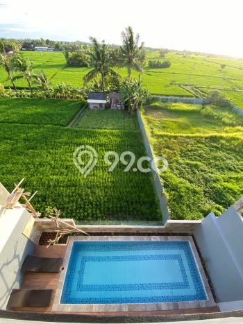 Ready to Use! Premium House LT 200m2 Desain Elegan di Canggu Ready to Use! Premium House LT 200m2 Desain Elegan di Canggu
