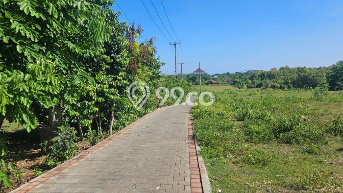 Tanah Kavling Dijual di uluwatu, Badung dengan Luas Tanah 10000m2 Tanah Kavling Dijual di uluwatu, Badung dengan Luas Tanah 10000m2