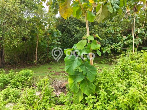 Tanah Dijual di Badung Seluas 350m2 Strategis Tanah Dijual di Badung Seluas 350m2 Strategis