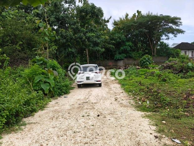 Tanah Dijual di Badung Seluas 350m2 Strategis Tanah Dijual di Badung Seluas 350m2 Strategis