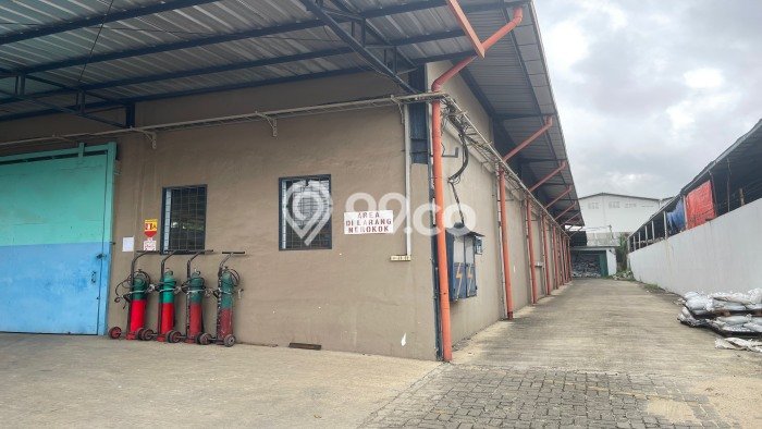 Gudang Bagus Dijual di Kapuk Jakarta Utara Lokasi Strategis Cocok untuk Kembangkan Bisnis Gudang Bagus Dijual di Kapuk Jakarta Utara Lokasi Strategis Cocok untuk Kembangkan Bisnis