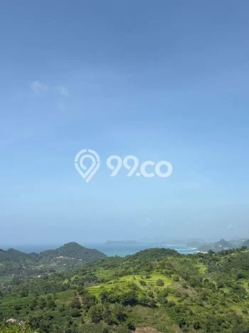 Lahan Dijual Lokasi Strategis di Lombok Tengah dengan Luas 1000m2 Lahan Dijual Lokasi Strategis di Lombok Tengah dengan Luas 1000m2