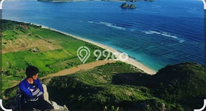 Dijual Tanah di Lombok Tengah, Luas 3000m2 SHM Dijual Tanah di Lombok Tengah, Luas 3000m2 SHM