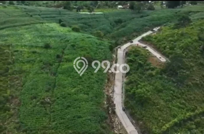 Lahan Dijual Lokasi Strategis di Lombok Tengah dengan Luas 1000m2 Lahan Dijual Lokasi Strategis di Lombok Tengah dengan Luas 1000m2