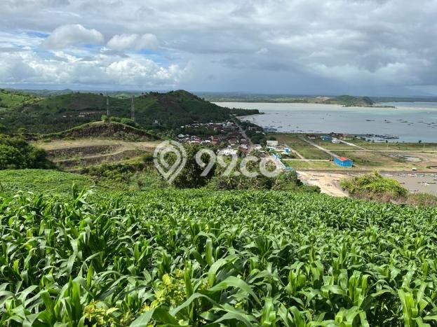 Dijual Tanah 14000m2 di Kuta, Lombok Tengah Dijual Tanah 14000m2 di Kuta, Lombok Tengah