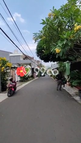 Tanah Kavling Dijual di Kalibata, Jakarta Selatan dengan Luas Tanah 536m2 Tanah Kavling Dijual di Kalibata, Jakarta Selatan dengan Luas Tanah 536m2