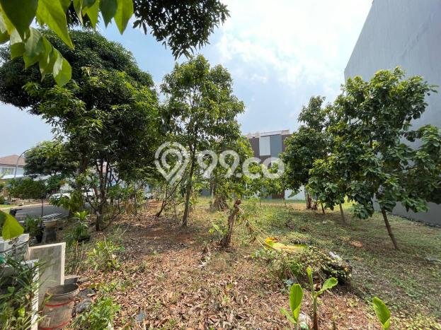 Tanah Dijual Area Strategis di Alam Sutera Tangerang 530m2 Tanah Dijual Area Strategis di Alam Sutera Tangerang 530m2