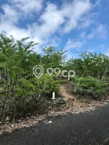 Tanah Dijual di Badung Seluas 7400m2 Strategis Tanah Dijual di Badung Seluas 7400m2 Strategis