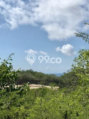 Tanah Dijual di Badung Seluas 7400m2 Strategis Tanah Dijual di Badung Seluas 7400m2 Strategis