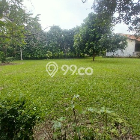 Tanah Kavling Dijual di Serua, Tangerang dengan Luas Tanah 8000m2 Tanah Kavling Dijual di Serua, Tangerang dengan Luas Tanah 8000m2
