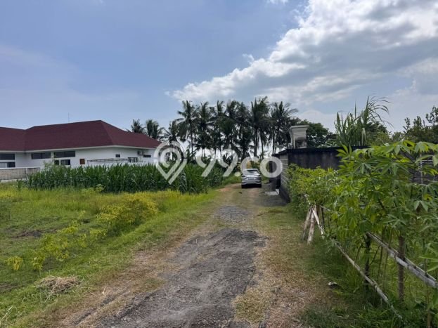 Tanah Kavling Dijual di Badung dengan Spesifikasi 500m2 Tanah Kavling Dijual di Badung dengan Spesifikasi 500m2