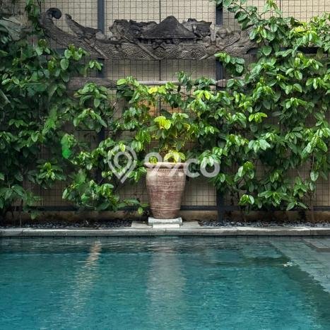 Hunian Mewah LB 500m2 Siap Pakai Desain Elegan di Petitenget, Badung Hunian Mewah LB 500m2 Siap Pakai Desain Elegan di Petitenget, Badung