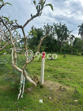 Tanah Dijual Area Strategis di Klungkung Badung 310m2 Tanah Dijual Area Strategis di Klungkung Badung 310m2
