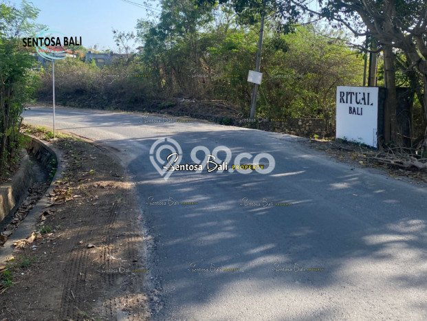Tanah Kavling Dijual di Pecatu, Badung dengan Luas Tanah 1950m2 Tanah Kavling Dijual di Pecatu, Badung dengan Luas Tanah 1950m2