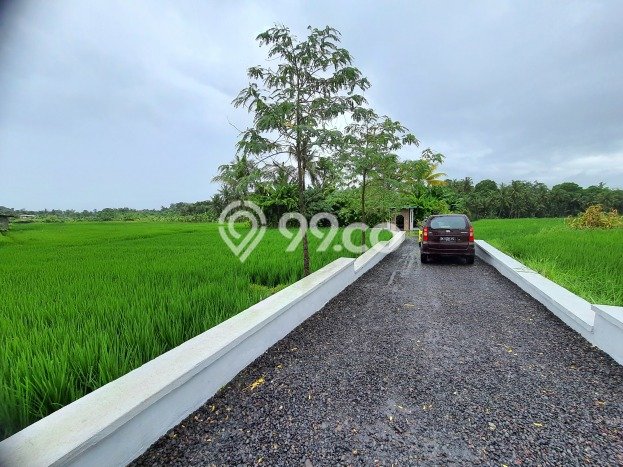 Rumah Luxury Modern Tanpa Renovasi di Tanah Lot Tabanan Rumah Luxury Modern Tanpa Renovasi di Tanah Lot Tabanan