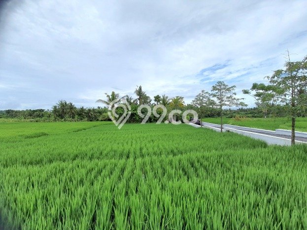 Rumah Luxury Modern Tanpa Renovasi di Tanah Lot Tabanan Rumah Luxury Modern Tanpa Renovasi di Tanah Lot Tabanan