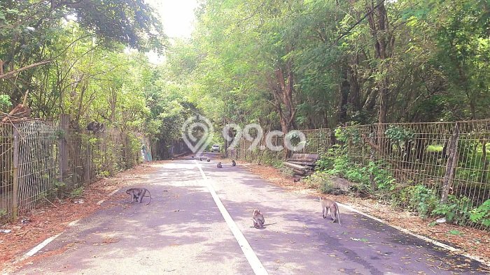 Tanah Dijual di Badung Seluas 27985m2 Strategis Tanah Dijual di Badung Seluas 27985m2 Strategis