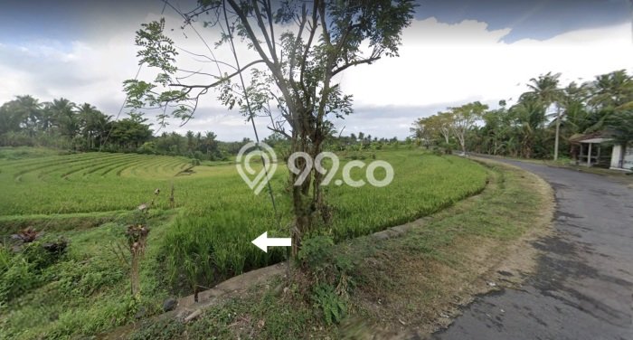 Tanah Dijual Lokasi Selemadeg, Tabanan Luas 3950m2 Legalitas Aman Tanah Dijual Lokasi Selemadeg, Tabanan Luas 3950m2 Legalitas Aman
