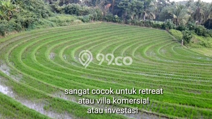 Tanah Dijual Lokasi Selemadeg, Tabanan Luas 3950m2 Legalitas Aman Tanah Dijual Lokasi Selemadeg, Tabanan Luas 3950m2 Legalitas Aman