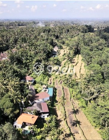 Dijual Rumah Premium dengan Fasilitas Sekitar Komplit di Ubud, Gianyar Dijual Rumah Premium dengan Fasilitas Sekitar Komplit di Ubud, Gianyar