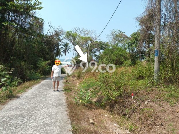 Tanah Dijual Lokasi Selemadeg, Tabanan Luas 1400m2 Legalitas Aman Tanah Dijual Lokasi Selemadeg, Tabanan Luas 1400m2 Legalitas Aman