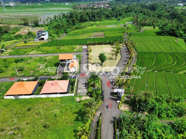 Tanah Investasi Dijual di Tabanan Punya Luas 710m2 Tanah Investasi Dijual di Tabanan Punya Luas 710m2