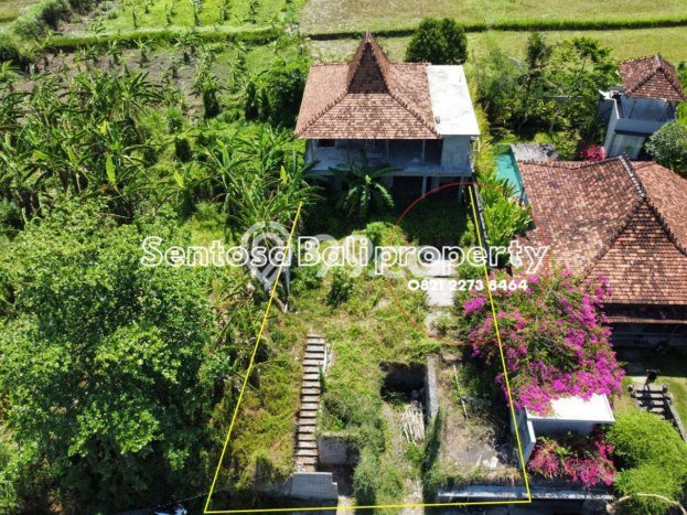 Tanah Kavling untuk Dijual di Ubud Gianyar 436m2 Tanah Kavling untuk Dijual di Ubud Gianyar 436m2