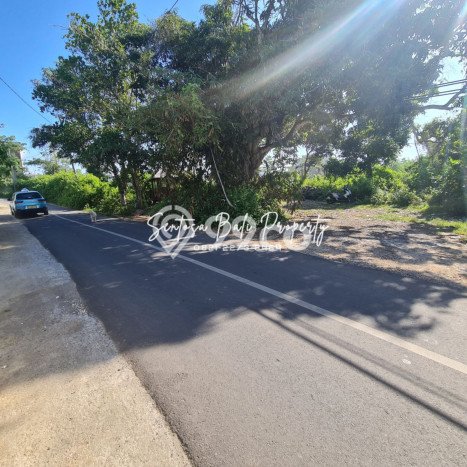 Tanah untuk Disewa di Badung Luas 6200m2 Tanah untuk Disewa di Badung Luas 6200m2