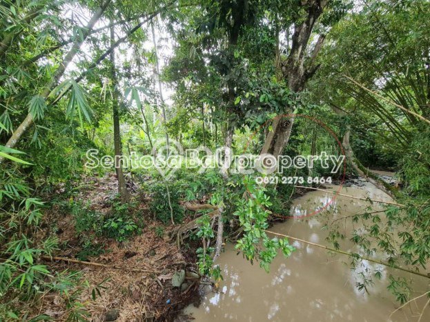 Kavling Tanah di Selemadeg Dijual Luas 1800m2 Legalitas SHM Kavling Tanah di Selemadeg Dijual Luas 1800m2 Legalitas SHM