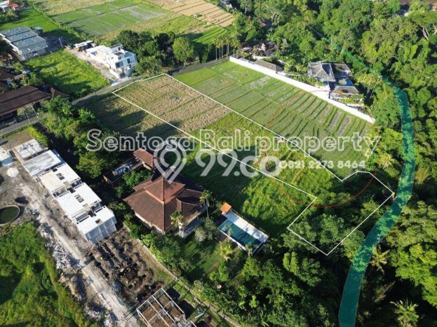 Disewakan Tanah di Tabanan, Luas 4285m2 Area Berkembang Disewakan Tanah di Tabanan, Luas 4285m2 Area Berkembang