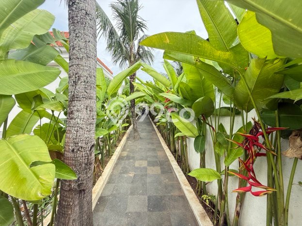 Jual Rumah Bagus Siap Huni LB 100m2 di Ubud, Gianyar Jual Rumah Bagus Siap Huni LB 100m2 di Ubud, Gianyar